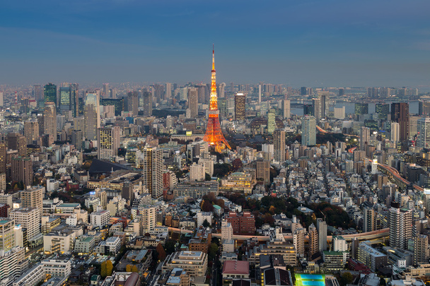 Aerial view downtown of Tokyo - Photo, Image