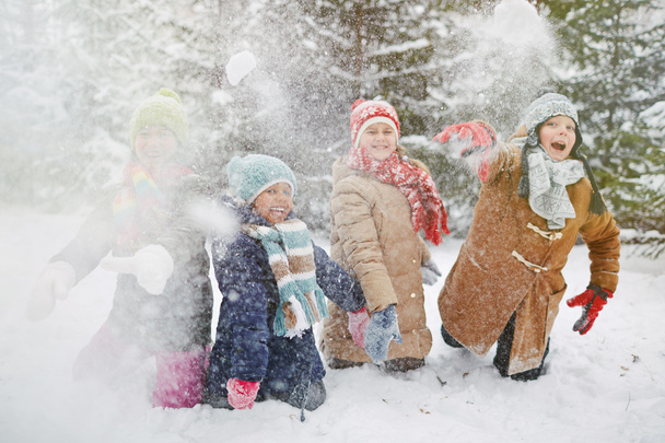 Kuli śnieżnej zabawy w lesie, zimą - Zdjęcie, obraz