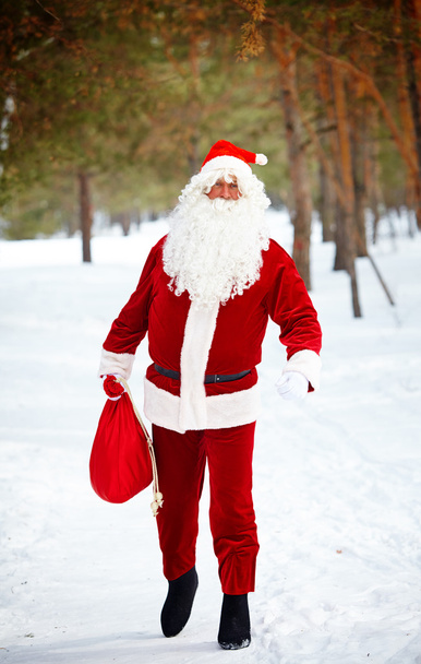 Santa Looking for Christmas - Photo, Image