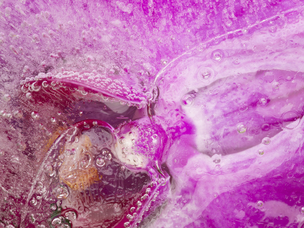 organic abstraction with flower and water - Foto, afbeelding
