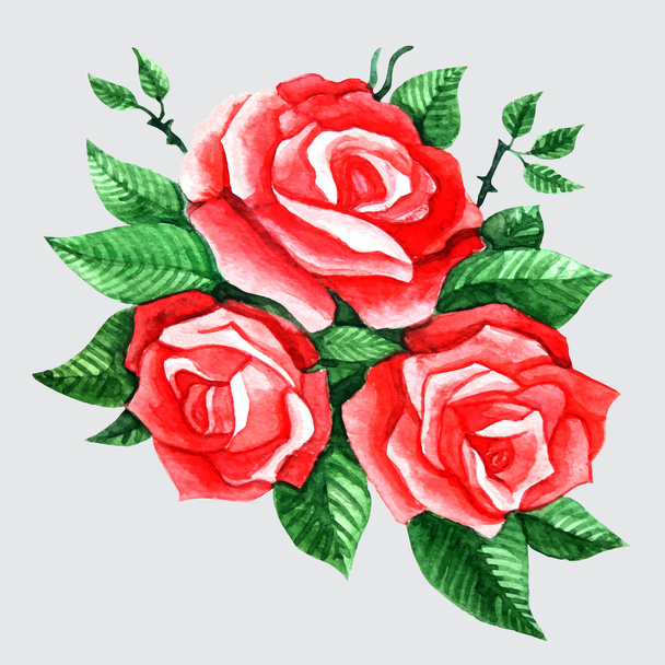 illustration de roses aquarelle
 - Vecteur, image