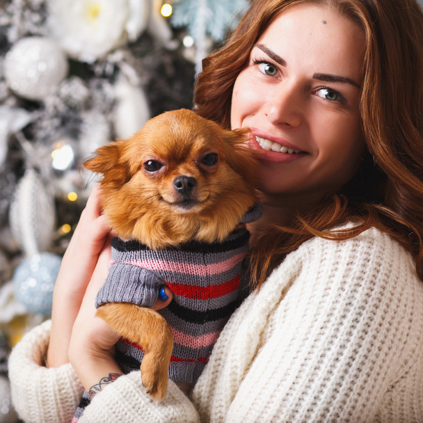 Portrait of a girl in white clothes with a little dog together over light christmas background - Foto, afbeelding