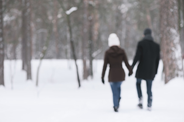 Walk outdoors in winter - Valokuva, kuva