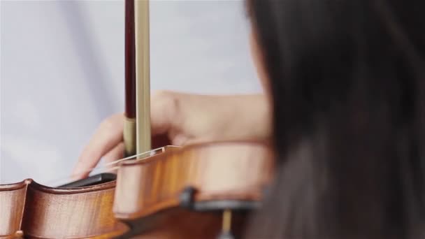 Παίζει βιολί με τα δάχτυλα. Γυναικείο χέρι αποπτέρωση χορδές του βιολιού. Κινηματογράφηση σε πρώτο πλάνο - Πλάνα, βίντεο