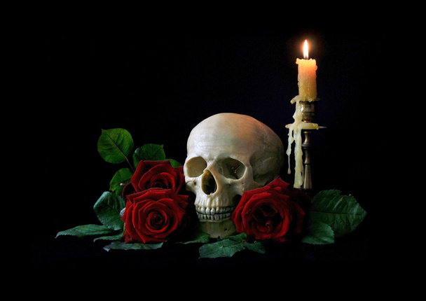 ヴァニタス。分離された赤いバラと人間の頭蓋骨 - 写真・画像