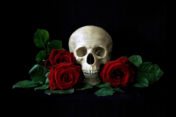 Vanitas. Menselijke schedel met rode rozen - Foto, afbeelding