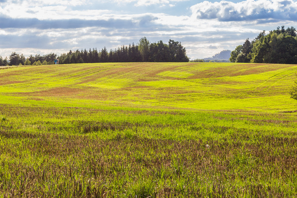 Панорамный пейзаж красочных желто-зеленых холмов
 - Фото, изображение