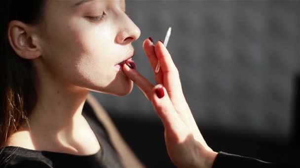 Artista de maquilagem profissional que aplica o lustro de lábio a lábios do modelo. Close-up
 - Filmagem, Vídeo