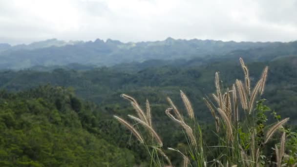 Panoramablick auf Dschungel-Berge auf den Philippinen - Filmmaterial, Video