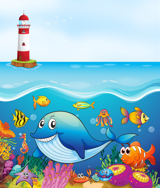 Морские животные, плавающие под океаном
 - Вектор,изображение