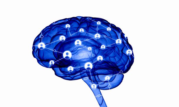 Cerebro humano digital
 - Foto, Imagen