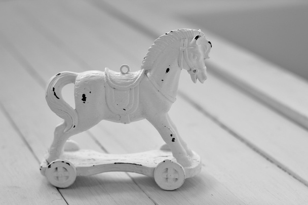 Kůň sám - Fotografie, Obrázek