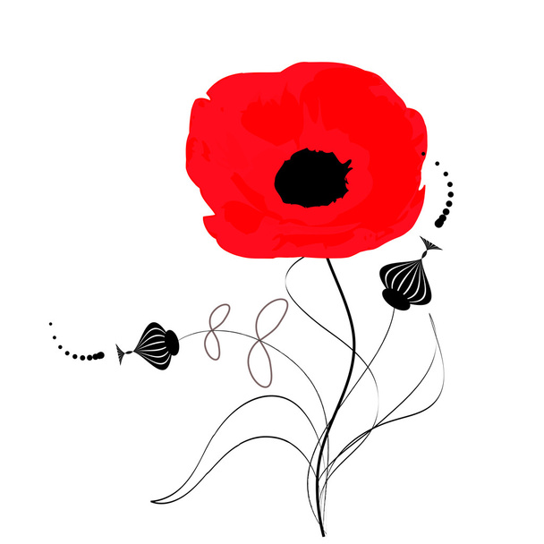 Red poppy in isolation - Vector, Image