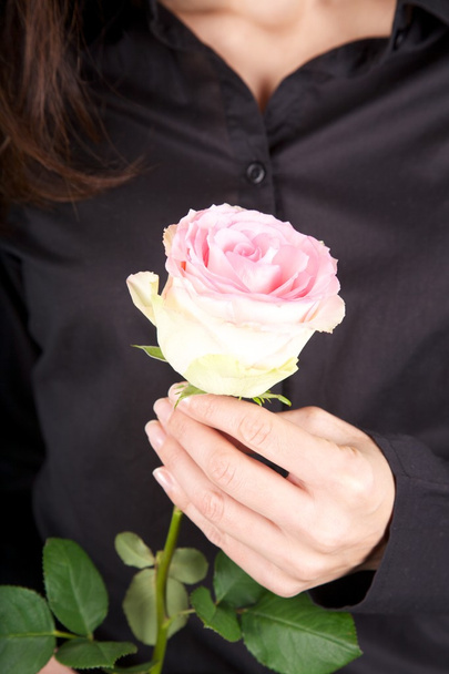 Rosa flor y negro camisa fondo
 - Foto, imagen