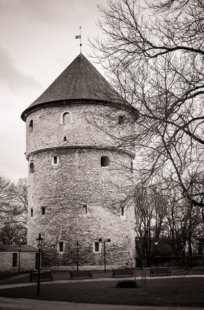Torre medieval en la antigua ciudad de Tallin
 - Foto, imagen