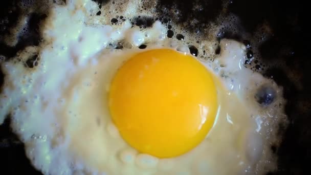 Natural egg on frying pan - Footage, Video