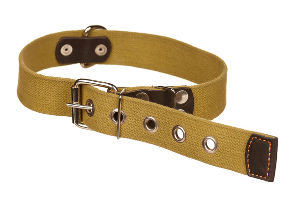 Dog collar - Photo, Image