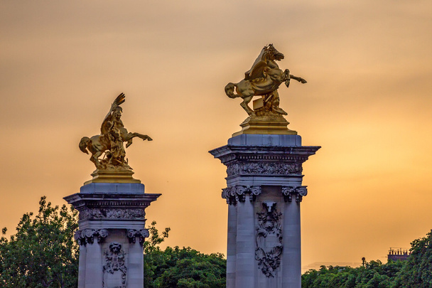 Kultaisia veistoksia Pariisissa
 - Valokuva, kuva