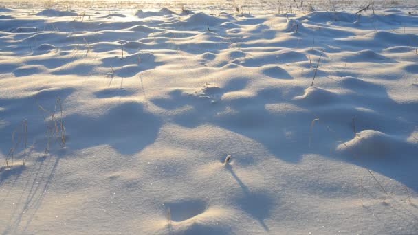 Man lopen op sneeuw en verlaten tracks - Video