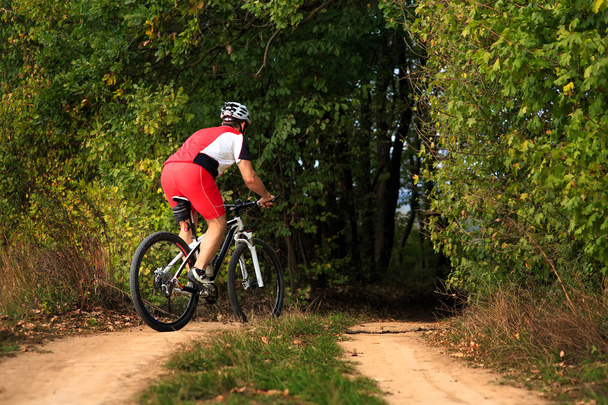 Чоловік їде на велосипеді в осінньому лісі
 - Фото, зображення