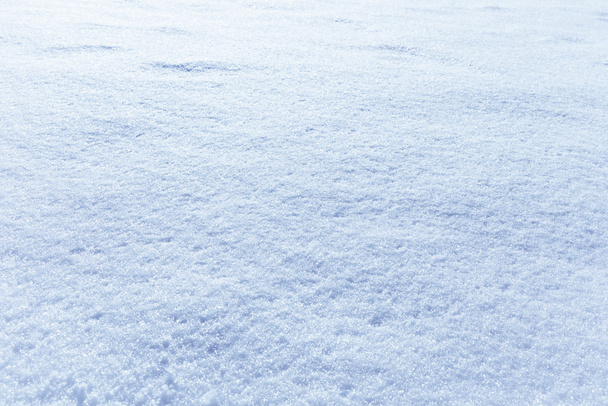 background of fresh snow. - Photo, image