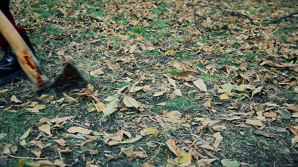 Assassino pazzo che tira un'ascia insanguinata nella foresta selvaggia, maniaco in fuga dalla scena del crimine
 - Filmati, video