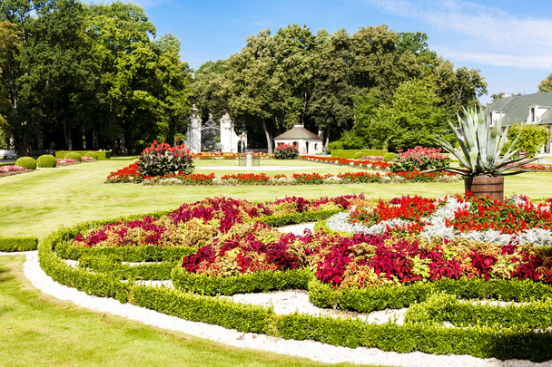 giardino del Palazzo Kozlowski, Voivodato di Lublino
 - Foto, immagini