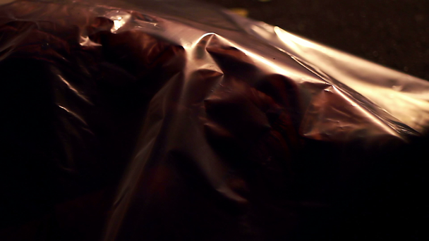 I coroner coprono il cadavere con un sacchetto di plastica, la polizia sulla scena del crimine
 - Filmati, video