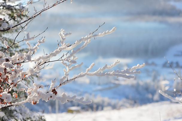 гілочка на снігу
 - Фото, зображення