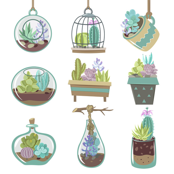 Succulents Icons Set - Vector, Image