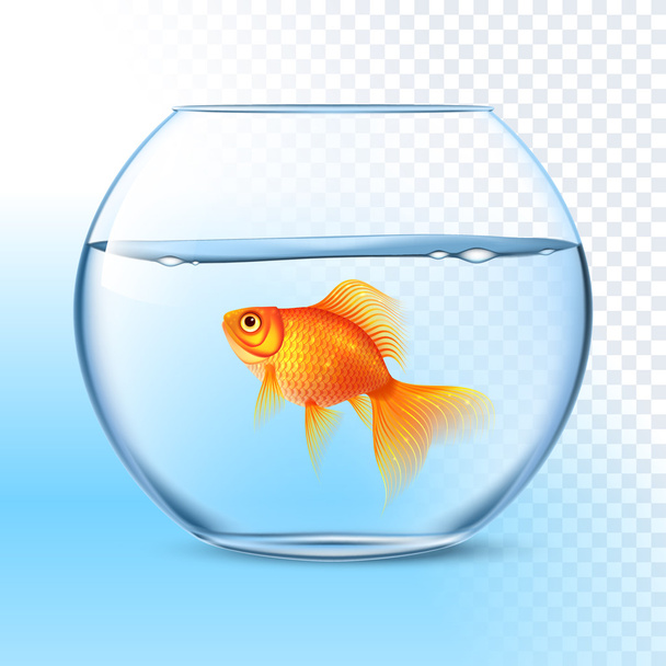 Goldfish In Water Bowl Realistic Image - Vector, Image