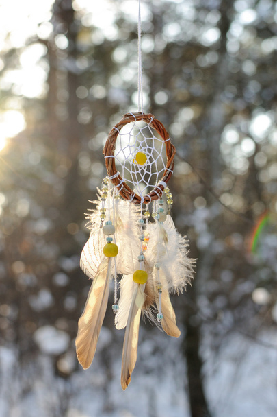 Handmade colorfull dream catcher in the snowy forest - Photo, Image