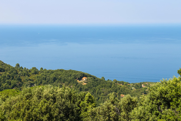 Kust van de Tyrreense Zee op eiland Elba, Italië. - Foto, afbeelding