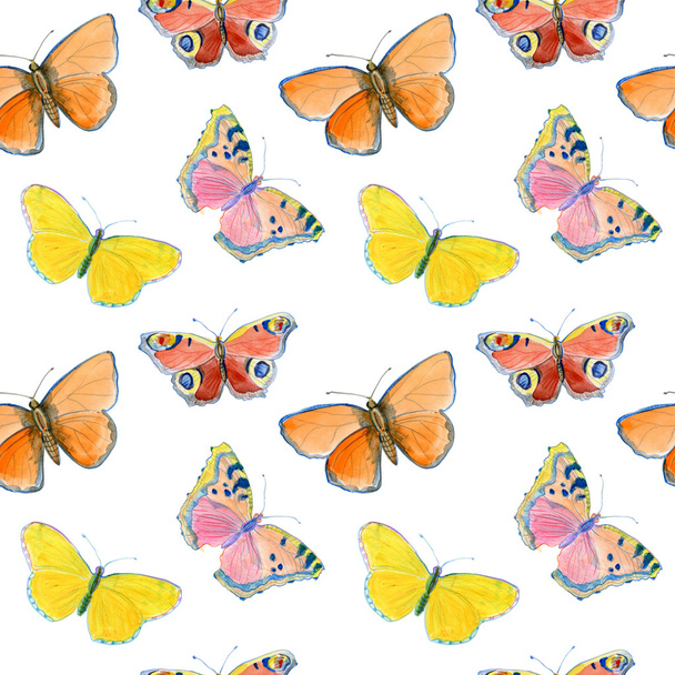 Καλοκαιρινές Πεταλούδες φόντο - Φωτογραφία, εικόνα