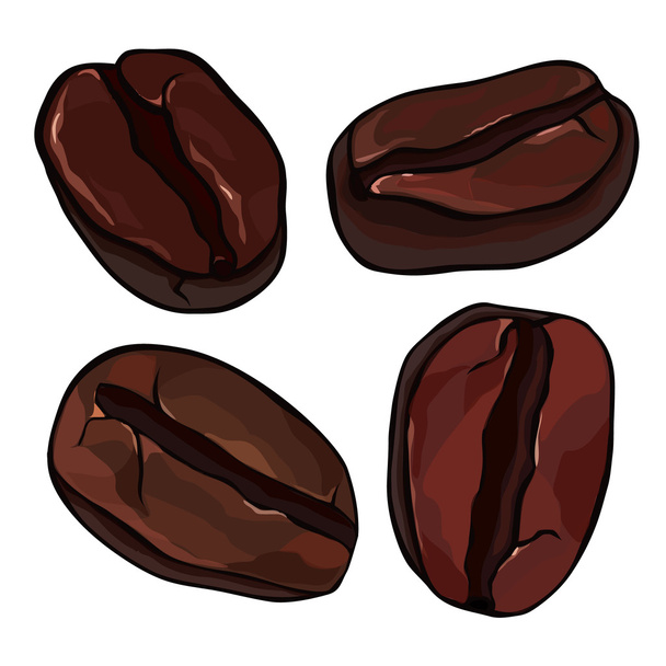 Dark coffee beans - Vector, Image