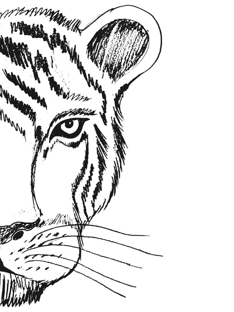 dessin à la main, grunge, croquis illustration de tigre
 - Vecteur, image