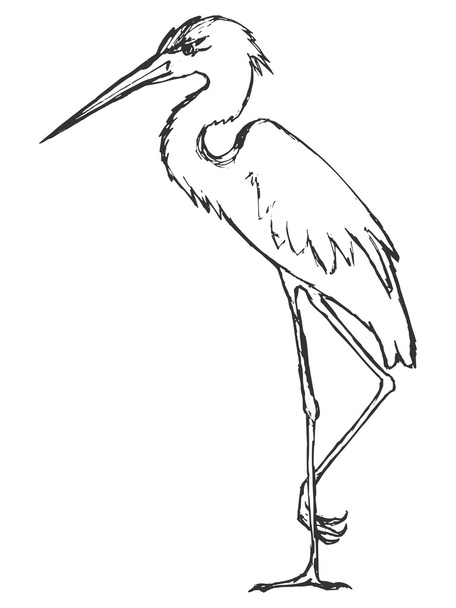 hand drawn, grunge, sketch illustration of heron - Διάνυσμα, εικόνα