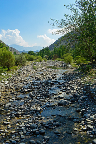 rivière dans les montagnes du Kirghizistan - Photo, image