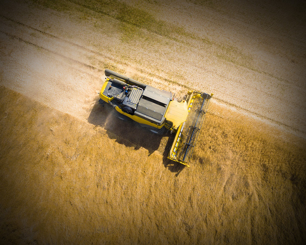Combineer oogstmachine op tarweveld - Foto, afbeelding