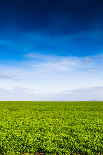Vista verde do campo
 - Foto, Imagem