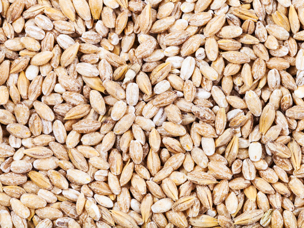raw pearl barley seeds - Фото, изображение