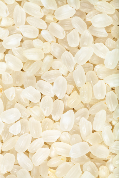 мелкозернистый сырой белый итальянский рис крупным планом
 - Фото, изображение