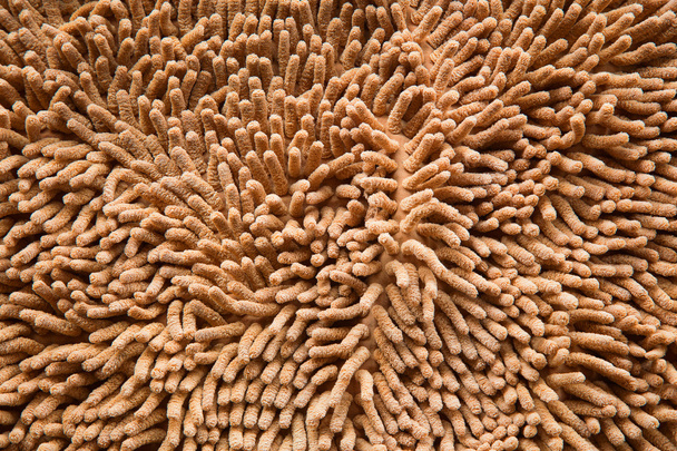 оранжевый коврик или текстура ковра
 - Фото, изображение