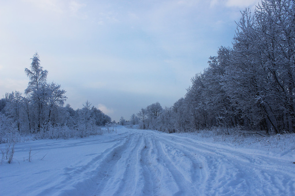 Winterwald nach Schneefall an Weihnachten mitten im Winter. - Foto, Bild