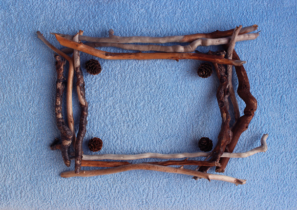 Neliön runko lehtikuusi käpyjä ja kuiva tikkuja sininen backgroun
 - Valokuva, kuva