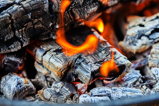 Wood fire in a barbacue - Fotoğraf, Görsel