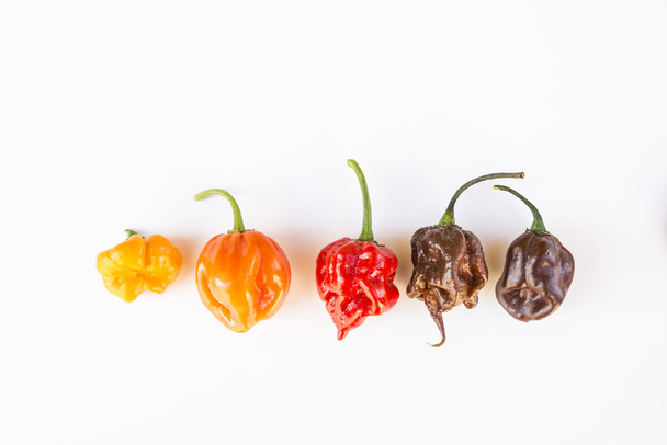 egy színes keveréke a legforróbb chili paprika - Fotó, kép