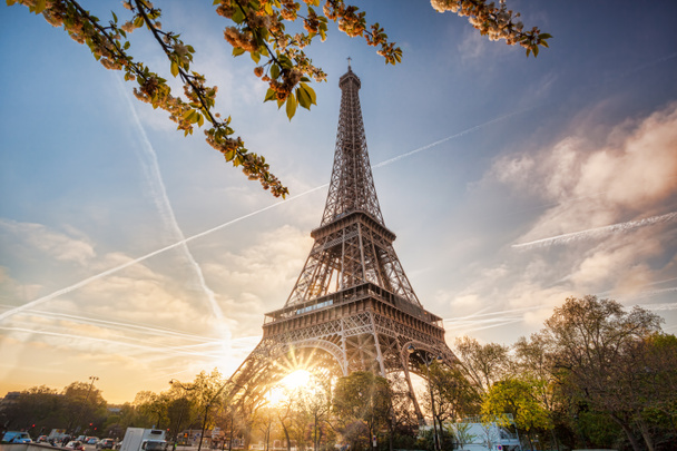 Eiffel Tower with spring tree in Paris, France - Photo, Image