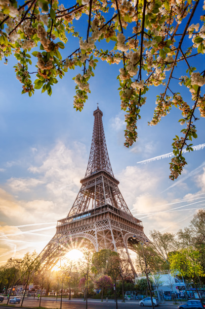 Eiffel Tower with spring tree in Paris, France - Foto, Bild