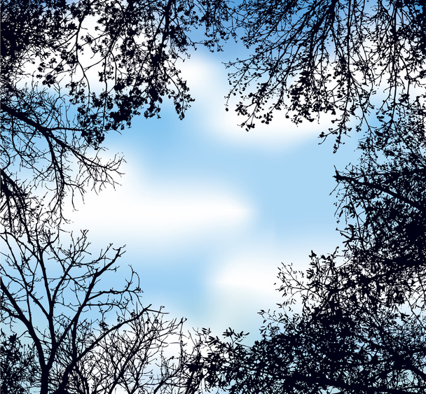 Векторный фон как рамка переплетенных ветвей деревьев ага
 - Вектор,изображение